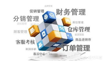 零編程經(jīng)驗，也能打造企業(yè)級管理軟件？——新時代下的企業(yè)軟件開發(fā)新路徑